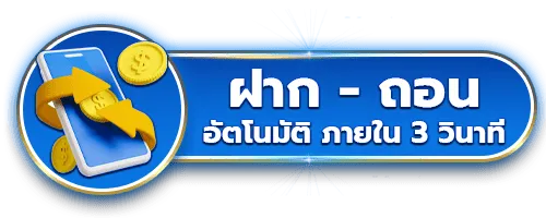 huaydung 100